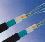 GYTS光缆“天康集团_天康_安徽天康_安徽天康集团www.ahtiankangjt.cn”