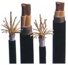 仪表用电缆解剖-安徽天康集团股份有限公司