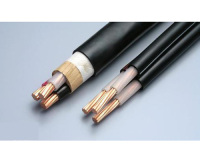 硅橡胶耐高温控制电缆