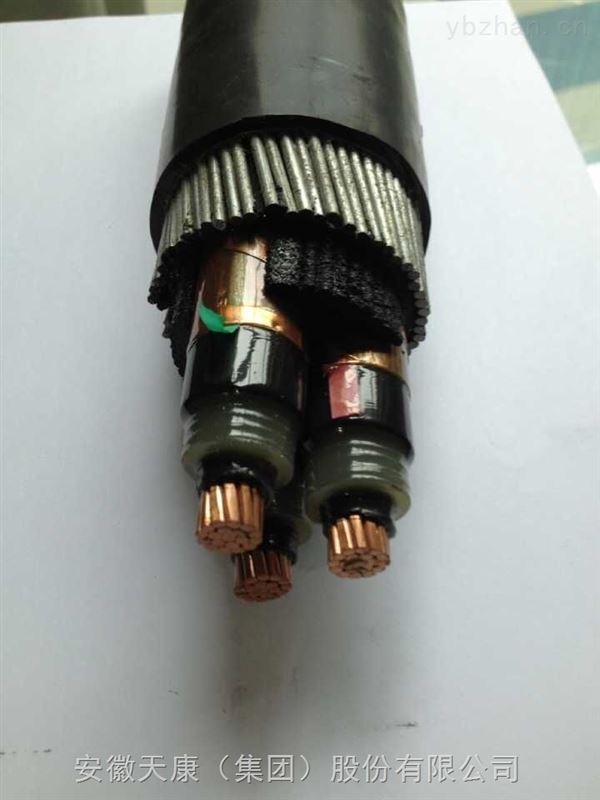 安徽天康高压电缆：电力传输的动脉，助力现代能源网络发展